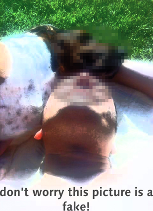 Photo de la série "Un printemps" - 2011 de l'artiste plasticien Philippe Pitet