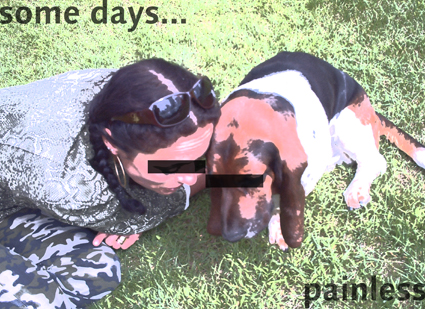 Photo de la série "Un printemps" - 2011 de l'artiste plasticien Philippe Pitet