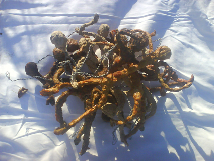 Installation Philippe Pitet