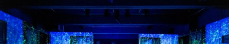 037-bandeauRadioBleuBleu