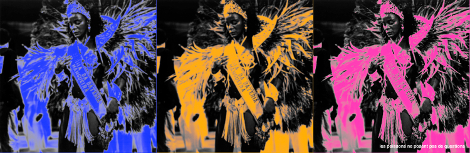 LesPoissonsVisuelTroisCouleurs