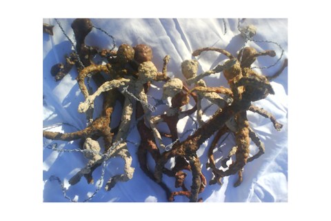 "Sortie de carton" instalation protéiforme de Philippe Pitet - 1996-2011