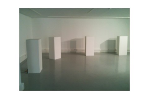 Installation "Réduction 02" de Philippe Pitet - 2013