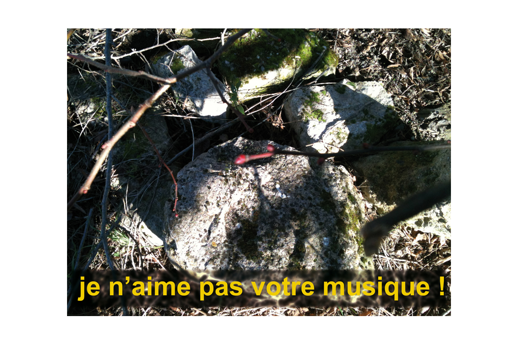 Photographie de Philippe Pitet Artiste Plasticien Série "Es ist die Natur" - 2008