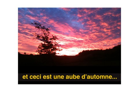 Photographie de Philippe Pitet Artiste Plasticien Série "Es ist die Natur" - 2008