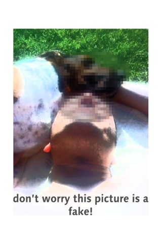 Photographie de Philippe Pitet Artiste Plasticien Série "Printemps 2011" - 2011