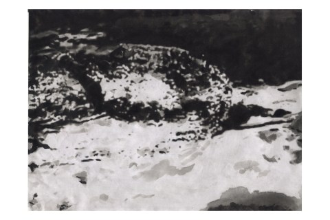 Dessin "Aiga - Variation 43°53'33N - 1°23'33E - Alt. 168m" de Philippe Pitet - Série Aiga 2011