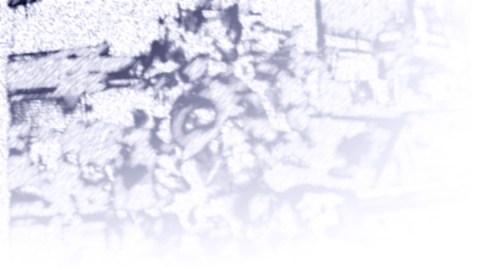 Dessin au crayon mine de graphite puis numérisé, exécuté pour le fond d'écran du site onearm.net