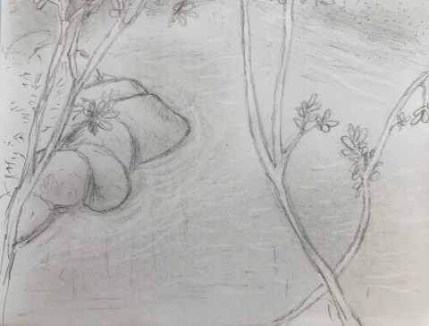 Dessin du plasticien Philippe Pitet dans le cadre des carnets de dessins du projet "Aiga - La cartographie sensible de l'eau"- Lac de Caraman 2007