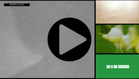 Image extraite de la vidéo expérimentale de Philippe Pitet : "En cualquier parte del mundo" du cycle "No Show"