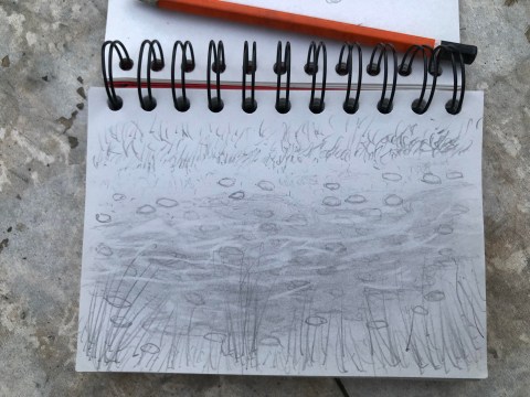 Photo d'une page d'un carnet "Aiga - La cartographie sensible de l'eau" du plasticien Philippe Pitet - Carnet de Romeyer 2018-2023