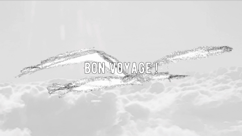 Capture d'écran de la vidéo "Bon Voyage" du plasticien Philippe Pitet - Vidéo du cycle "No Show" - 2018