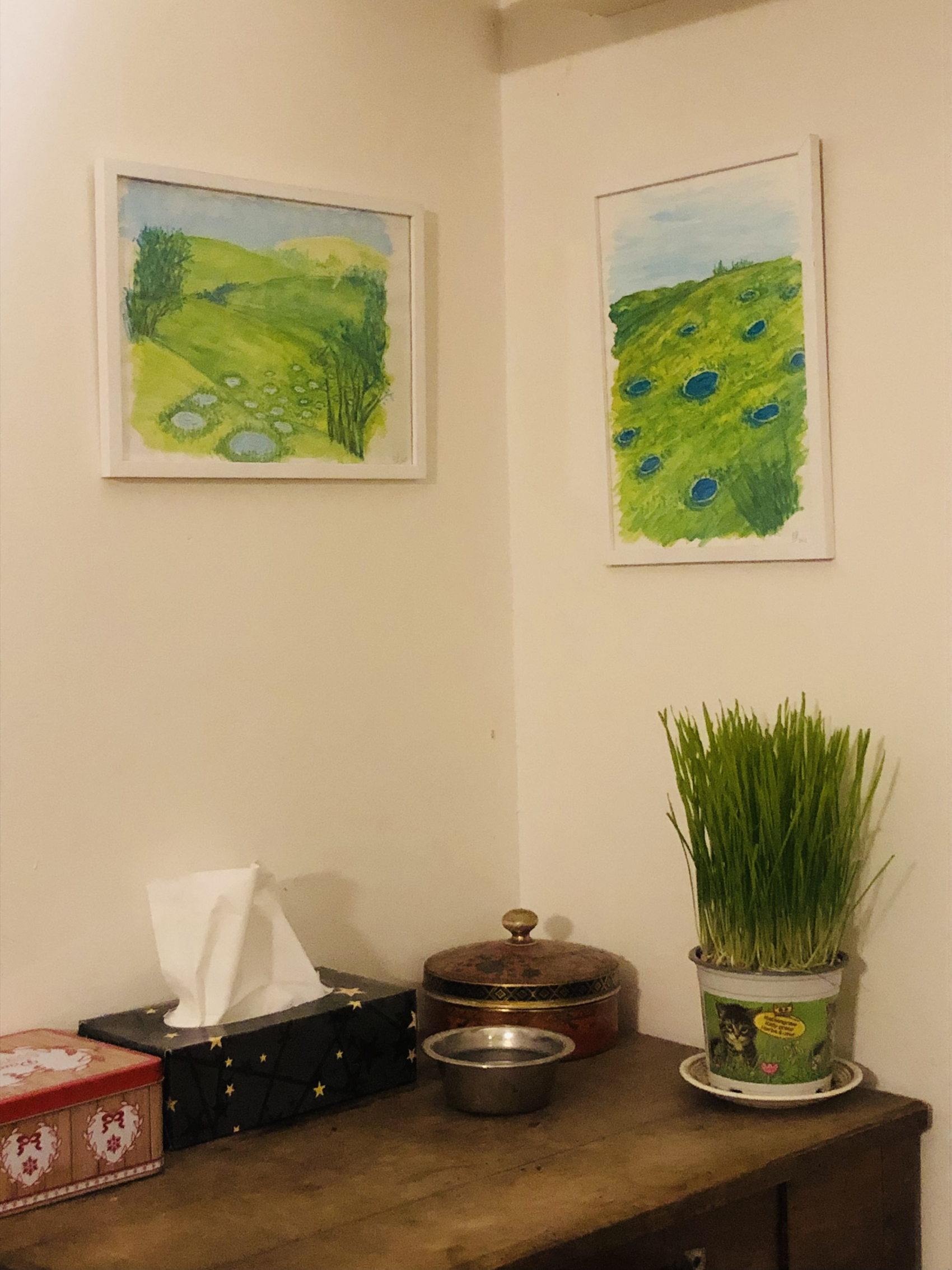 Photos de dessins de préfiguration de l'installation "Microbassines" par Philippe Pitet, plasticien. Avril-Juin 2023