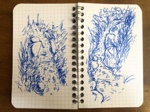 Photo de deux pages d'un carnet de dessin du bord de Dôme et de ses affluents, du plasticien Philippe Pitet - Carnet à spirale et petits carreaux dessins au stylo bille. Dans le cadre de travail "Aiga - La cartographie sensible de l'eau"