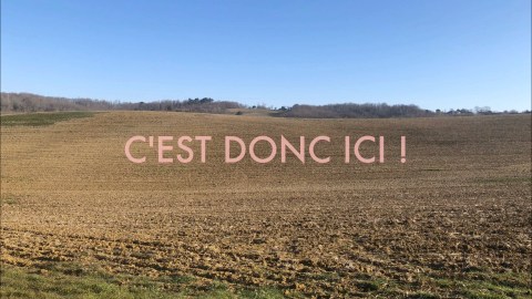 Capture d'écran d'une vidéo du cycle "No Show" de l'artiste plasticien Philippe Pitet - 2020