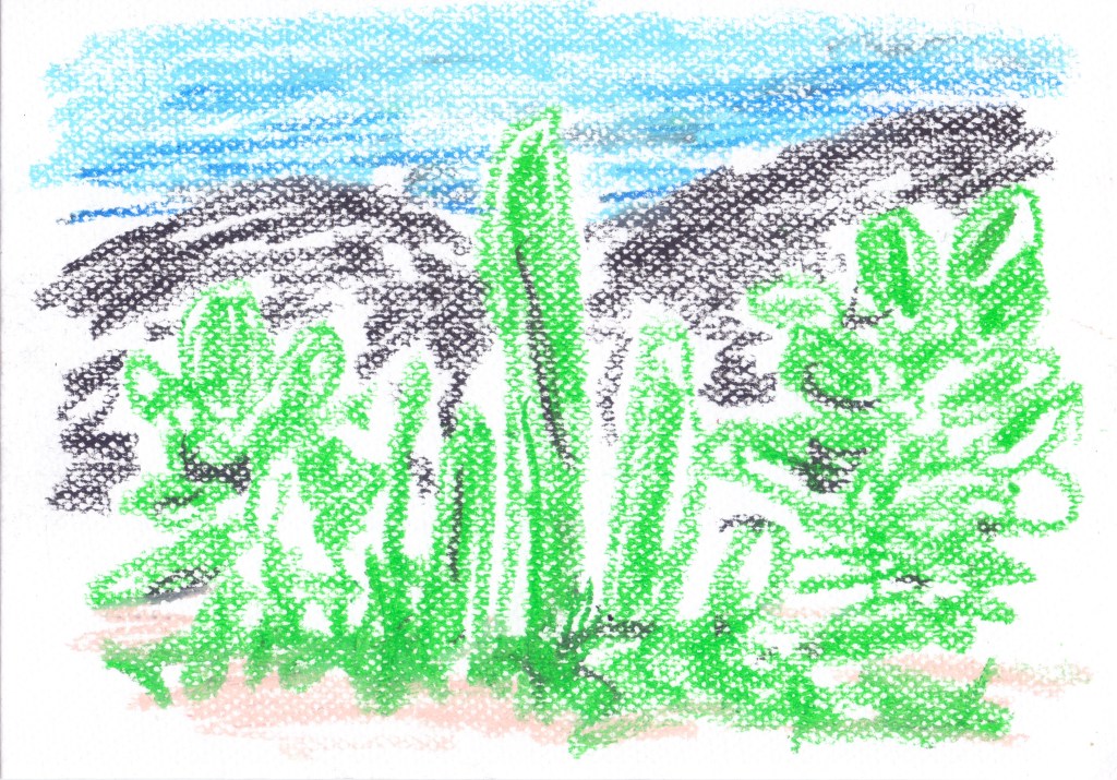 dessin au pastel gras de la série "Lanzarote - À la recherche des Frères Berque" du plasticien Philippe Pitet - Avril-Mai 2026